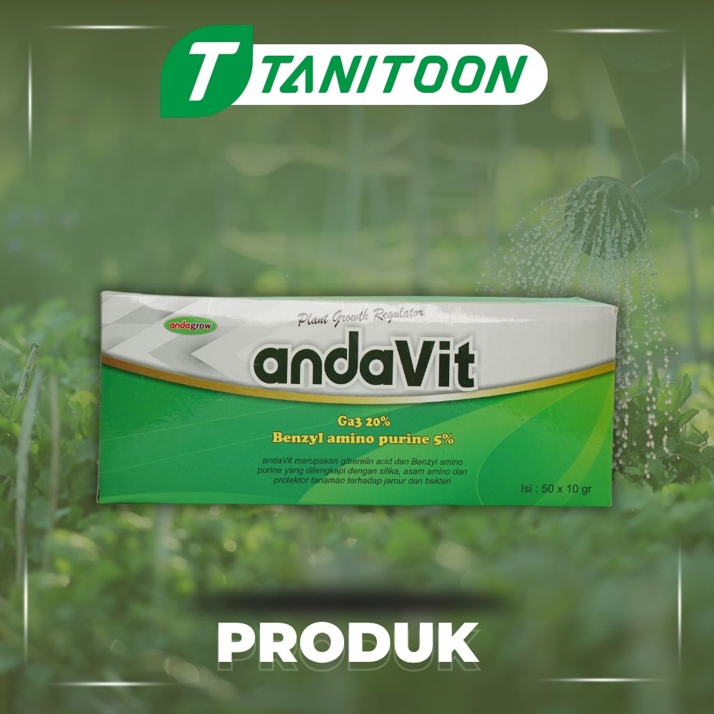 ANDAVIT