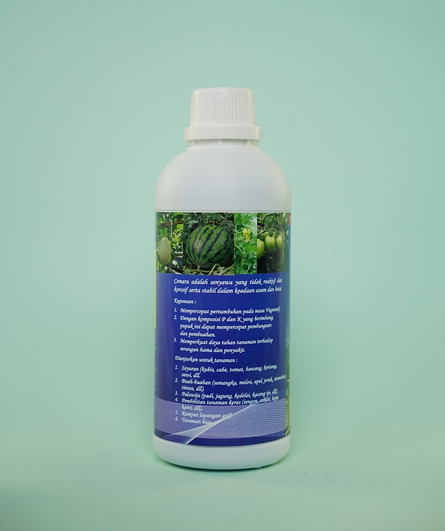 CEMARA KACANG HIJAU 500ML8