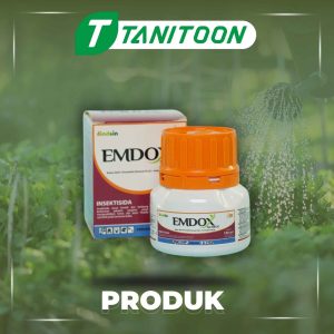 EMDOX 100ML
