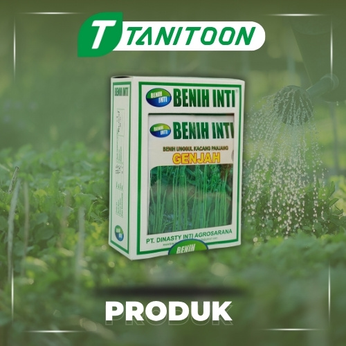 INTI KACANG PANJANG