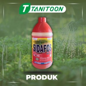 SIDAFOS 480 SL 1 LTR