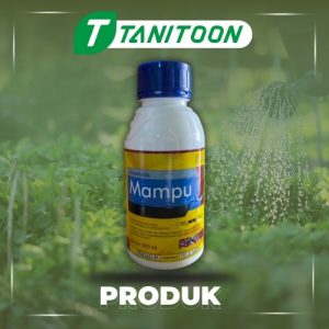MAMPU 18 EC 500 ML