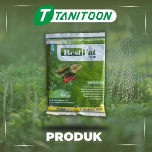 BESTFAT 75 SP 100 GR