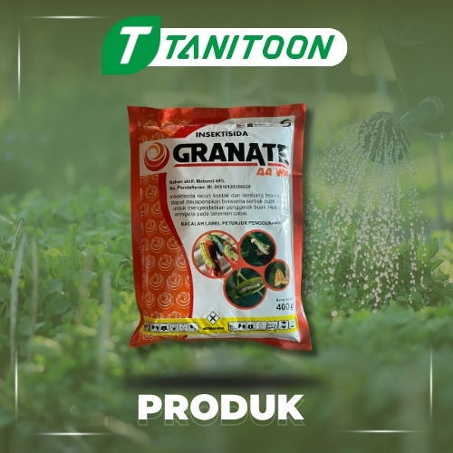 granete 400g
