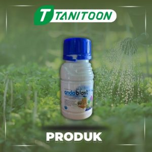 ANDABLAST 125/400 SSC 250 ML