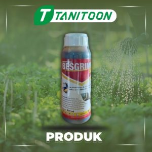 BESGRIMEX 36 EC 500 ML