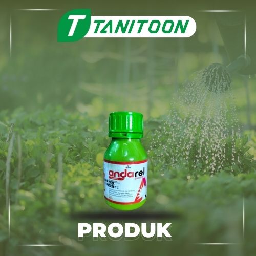 ANDAREL 250 ML