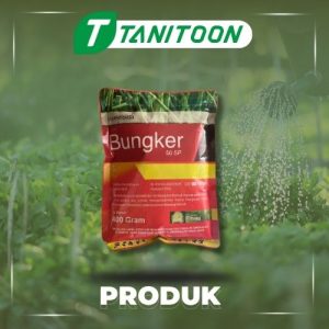 BUNGKER 50 SP 100 GR