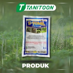 E-TOMMIL 45 SP 250GR