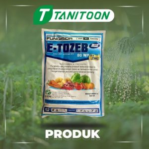 E-TOZEB 80 WP 800 GR