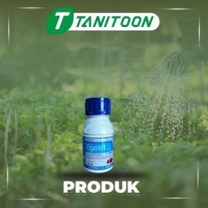 EGOIST 300 SC 100 ML