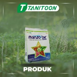 MANZOBIR 80WP 800GR