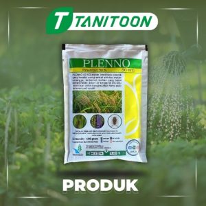 PLENNO 50 WG 100 GRAM