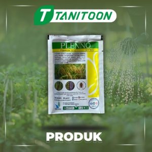 PLENNO 50 WG 25 GRAM