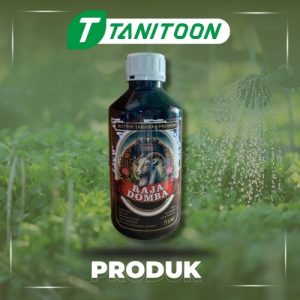 RAJA DOMBA 1LTR