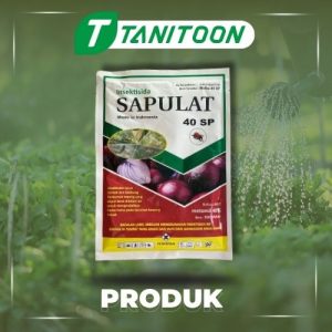 SAPULAT 40 SP 100 GR