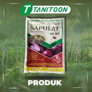 SAPULAT 40 SP 400GR