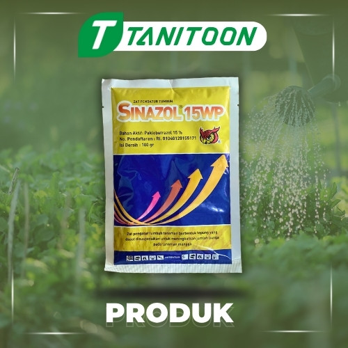 SINAZOL 15WP