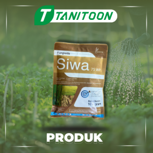 SIWA 75WP 100GR