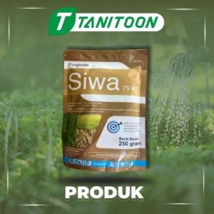 SIWA 75WP 250 GR