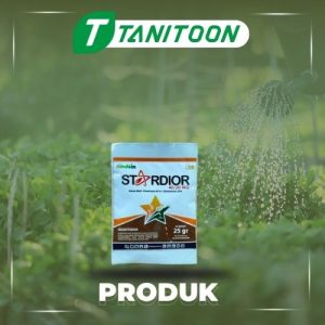 STARDIOR 40/20 WG 25 GR