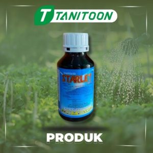 STARLET 400 SL 500 ML