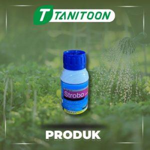 STROBO 400 SC 100 ML