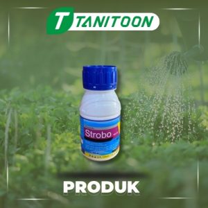 STROBO 400 SC 250 ML