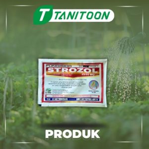 STROZOL 25/55 WG 50 GR