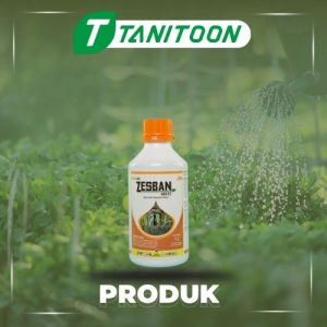 ZESBAN 1LTR