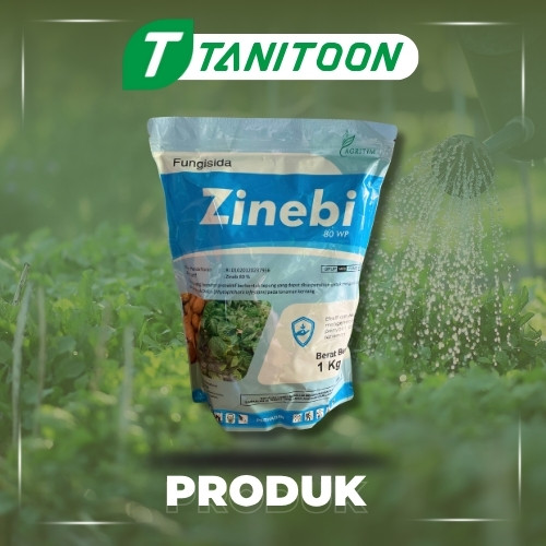 ZINEBI 80 WP 1  KG