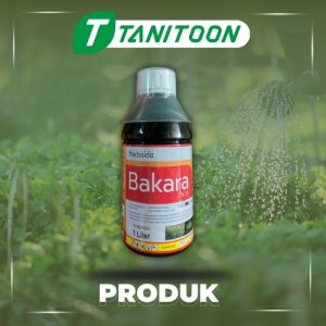 BAKARA 276 SL