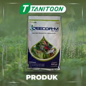 DEECOR-M 72 WP 100GR