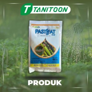 PASTIFAT 75SP 400G
