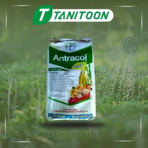 ANTRACOL 70 WP 1KG