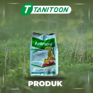 ANTRACOL 70 WP 250 GR