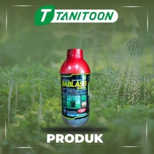 BABLASS 490 SL 500 ML