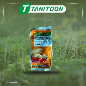 CABRIO TOP 60 WG 500 GR