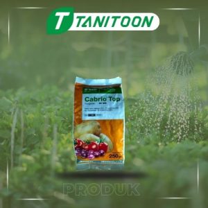 CABRIO TOP 60 WG 250 GR