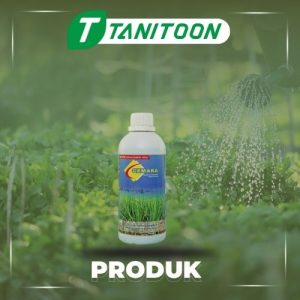 Pupuk Organik Cair CEMARA BAWANG MERAH 500ML