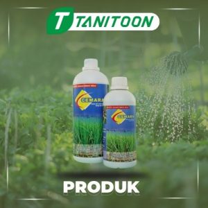 Pupuk Organik Cair CEMARA BAWANG 1 LTR