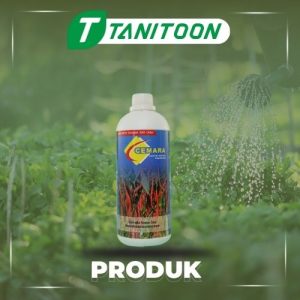 PUPUK ORGANIK CAIR CEMARA CABE 1 LTR