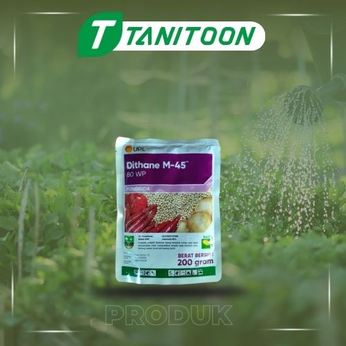 DITHAN 200 GR