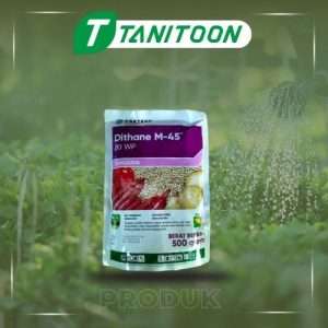 DITHANE M-45 80 WP 500 KG