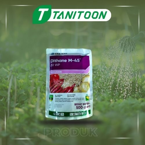 DITHAN 500 GR