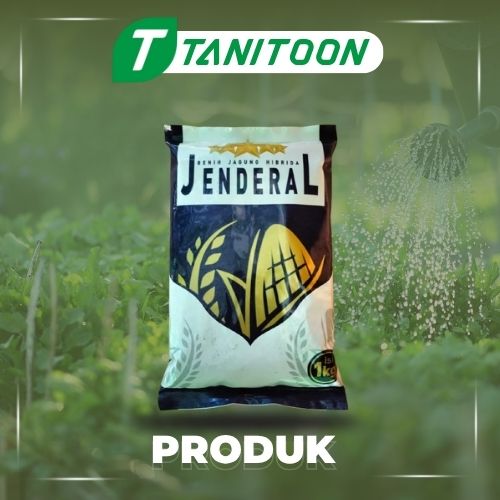 JAGUNG JENDRAL 1KG