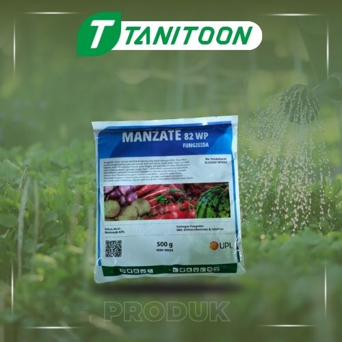 MANZAET 500 GR