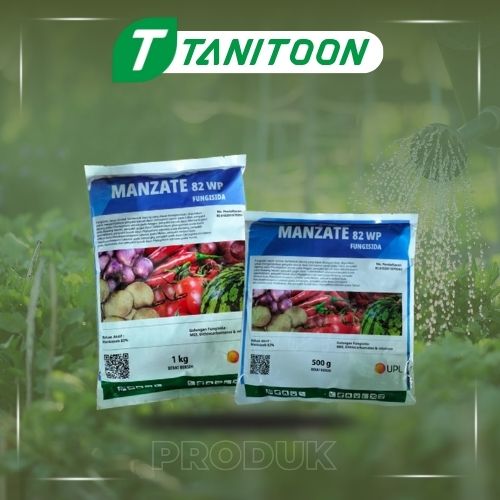 MANZATE AL
