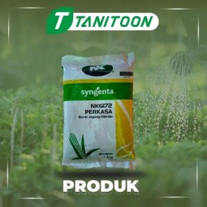 NK 6172 PERKASA 1KG