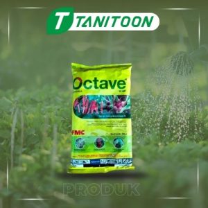 OCTAVE 50 WP 250 GR